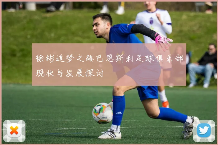 徐彬追梦之路巴恩斯利足球俱乐部现状与发展探讨